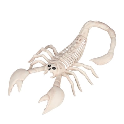 Crazy Bonez Scorpion Skeleton